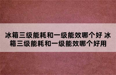 冰箱三级能耗和一级能效哪个好 冰箱三级能耗和一级能效哪个好用